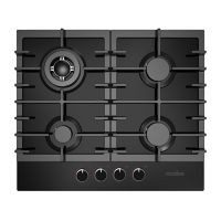 Parrilla a Gas de Vidrio Negro y Hierro Fundido