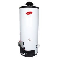 Calentador de depósito Enerhit gas natural 60 lt