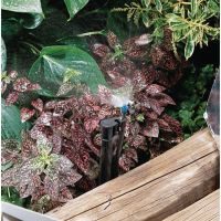 Micro aspersor 180°