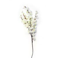 Flor de durazno crema