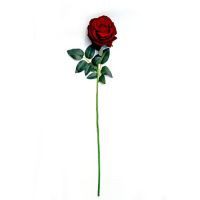 Rosa cabbage aterciopelada rojo