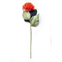 Vara de hortensia naranja