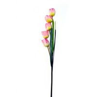 Vara de tulipán rosa