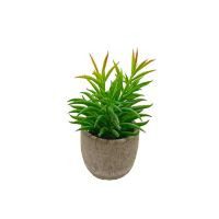 Arreglo de suculenta artificial Senecio c/maceta