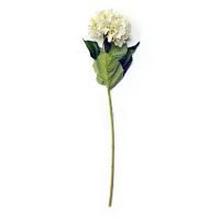 Vara de hortensia crema