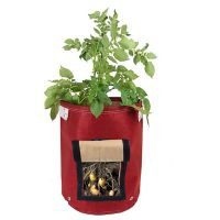 Huerto en bolsa de tela potato rojo 9 gal