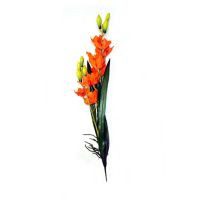 Orquídea c/raíz y hojas naranja
