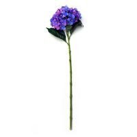 Vara de hortensia morada con matices rosa