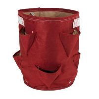 Huerto en bolsa de tela fresa rojo 9 gal
