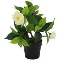 Planta artificial camelia blanca 22 x 17 cm