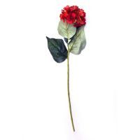 Vara de hortensia rojo