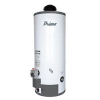Calentador de depósito primo gas LP 60 lt